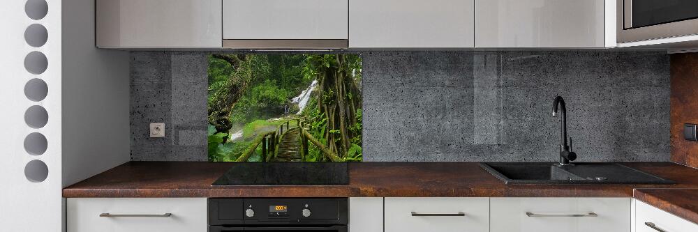 Cooker splashback Waterfall in the jungle