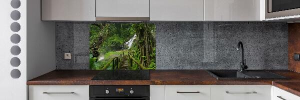 Cooker splashback Waterfall in the jungle