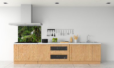 Cooker splashback Waterfall in the jungle