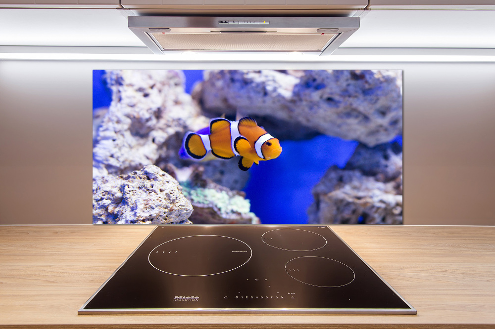 Cooker splashback Coral reef clowns