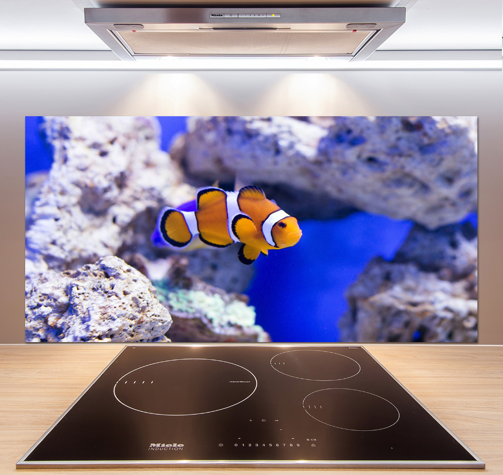 Cooker splashback Coral reef clowns