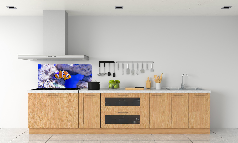 Cooker splashback Coral reef clowns