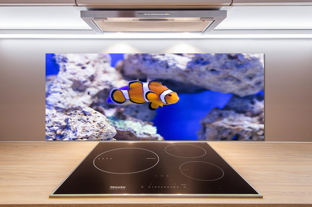 Cooker splashback Coral reef clowns