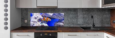 Cooker splashback Coral reef clowns