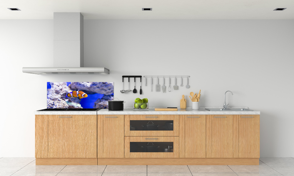 Cooker splashback Coral reef clowns