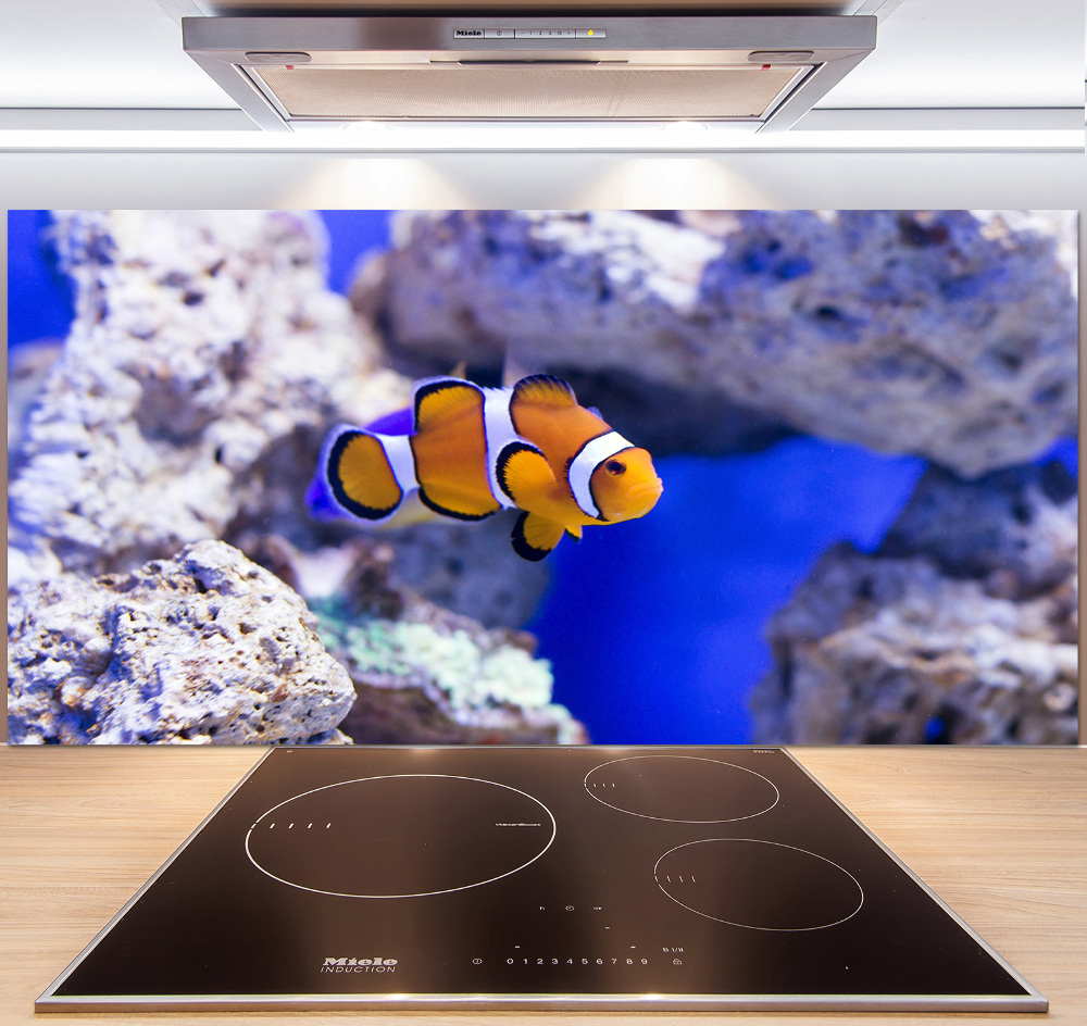 Cooker splashback Coral reef clowns