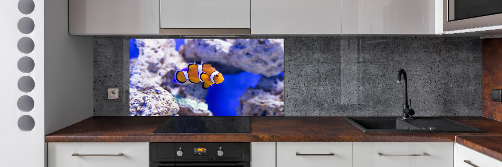 Cooker splashback Coral reef clowns