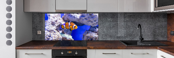 Cooker splashback Coral reef clowns