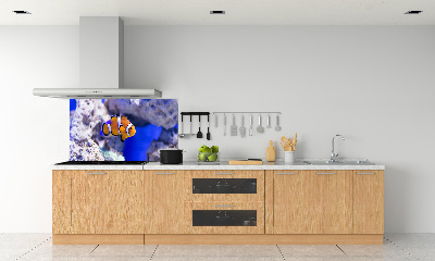 Cooker splashback Coral reef clowns