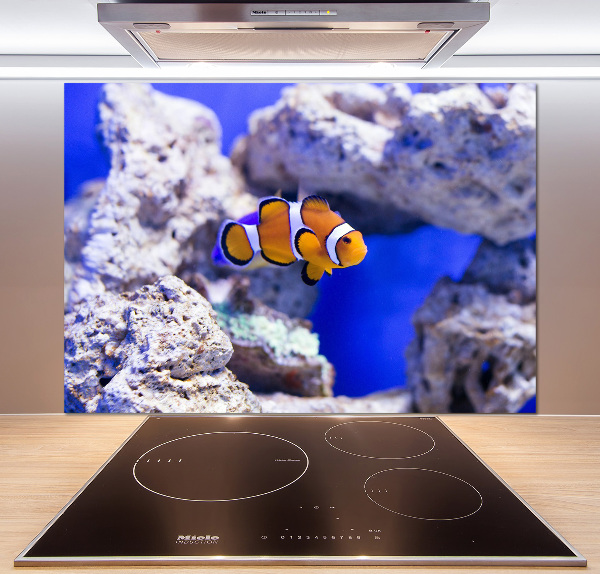 Cooker splashback Coral reef clowns