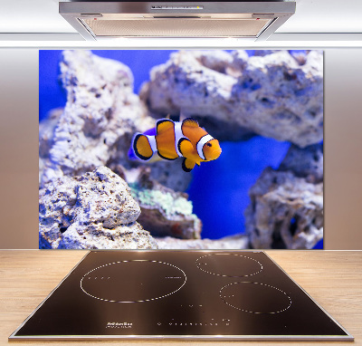 Cooker splashback Coral reef clowns