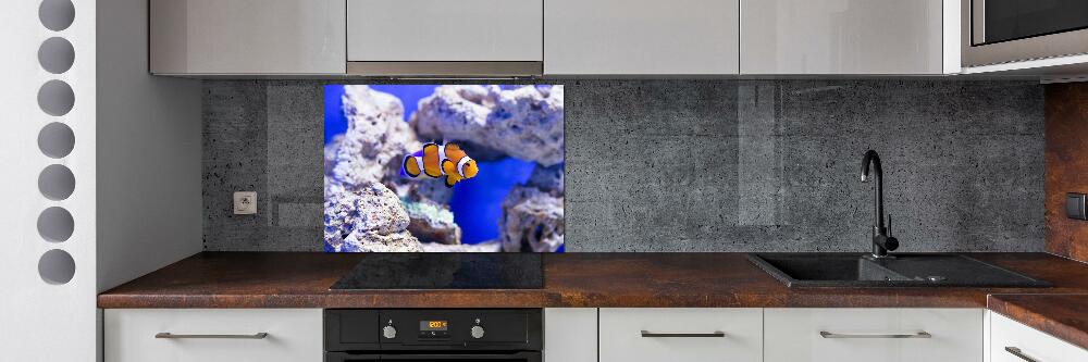 Cooker splashback Coral reef clowns