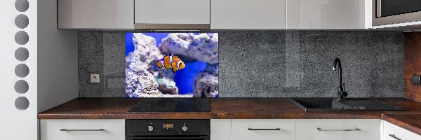 Cooker splashback Coral reef clowns