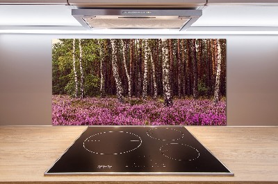 Cooker splashback Moor