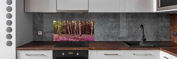 Cooker splashback Moor