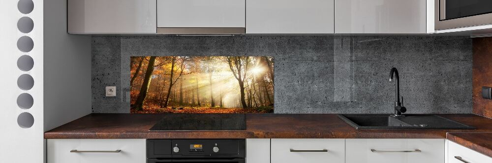 Cooker splashback Fog in the forest