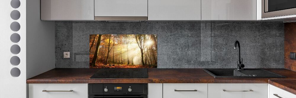 Cooker splashback Fog in the forest