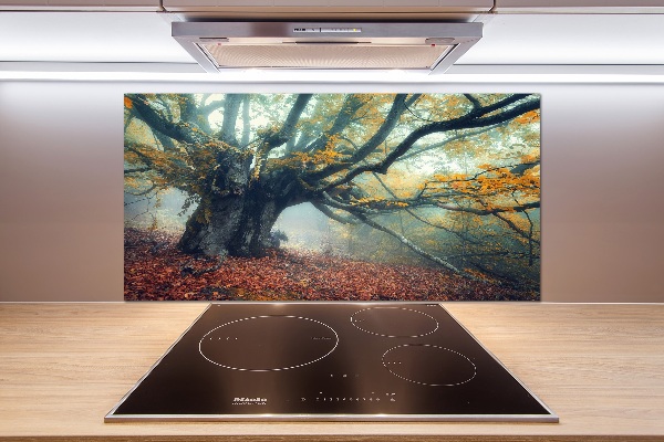 Cooker splashback Old tree