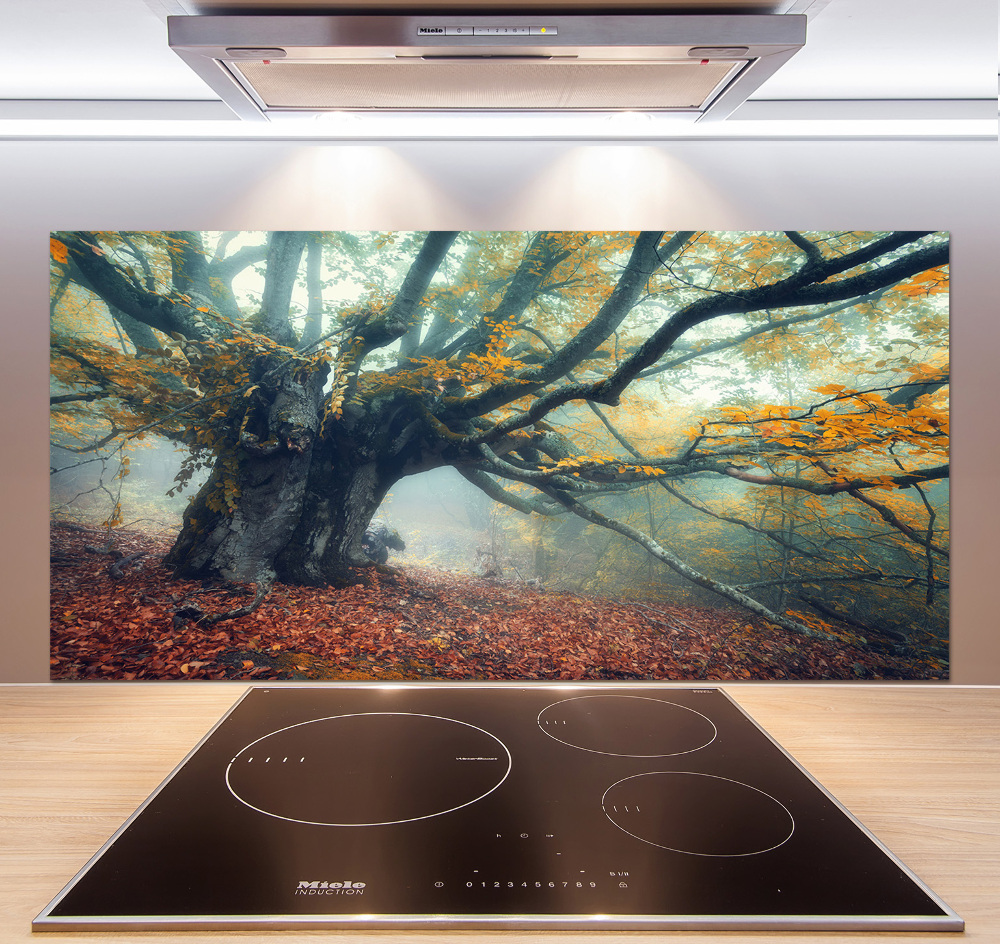 Cooker splashback Old tree