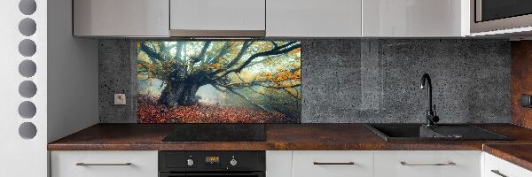 Cooker splashback Old tree