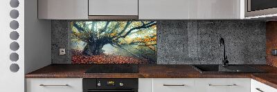 Cooker splashback Old tree