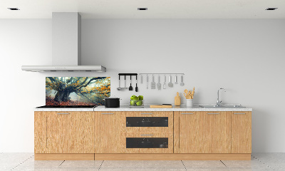 Cooker splashback Old tree