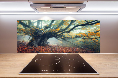 Cooker splashback Old tree