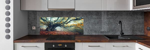 Cooker splashback Old tree