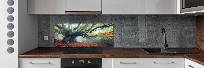 Cooker splashback Old tree