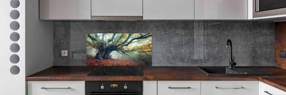 Cooker splashback Old tree