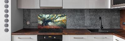 Cooker splashback Old tree