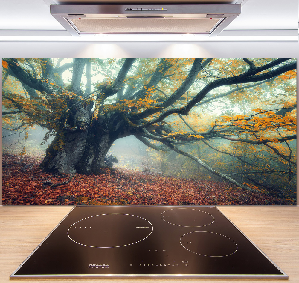 Cooker splashback Old tree