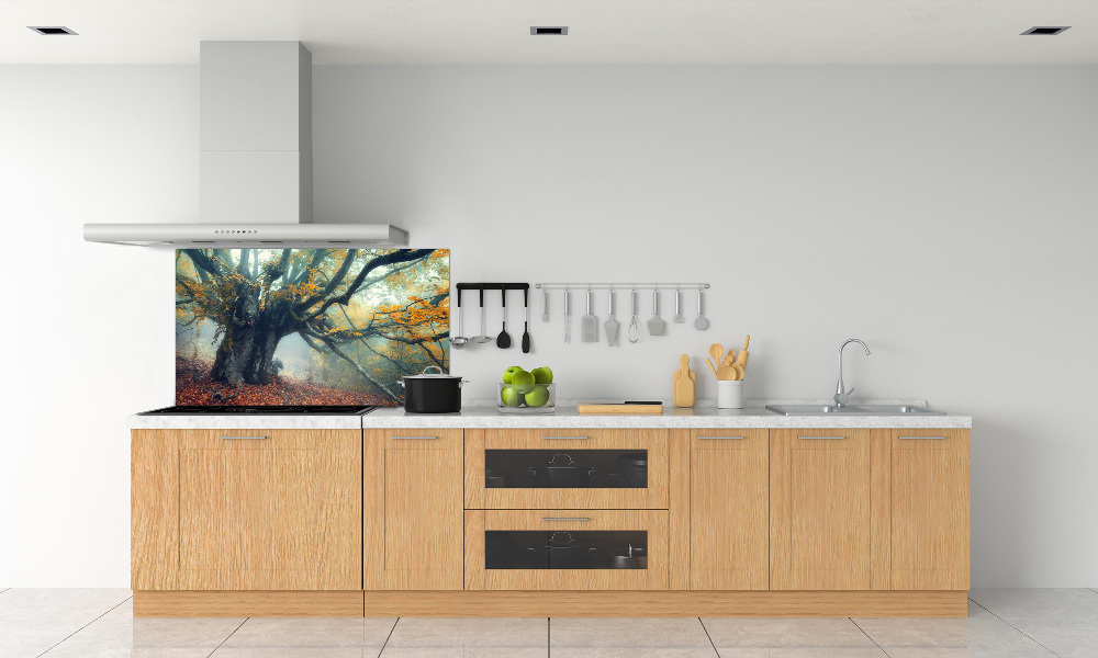 Cooker splashback Old tree