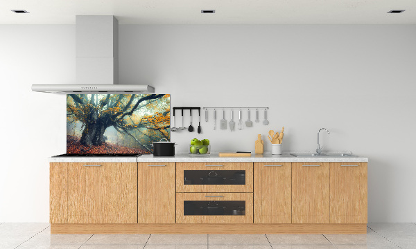 Cooker splashback Old tree