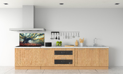 Cooker splashback Old tree