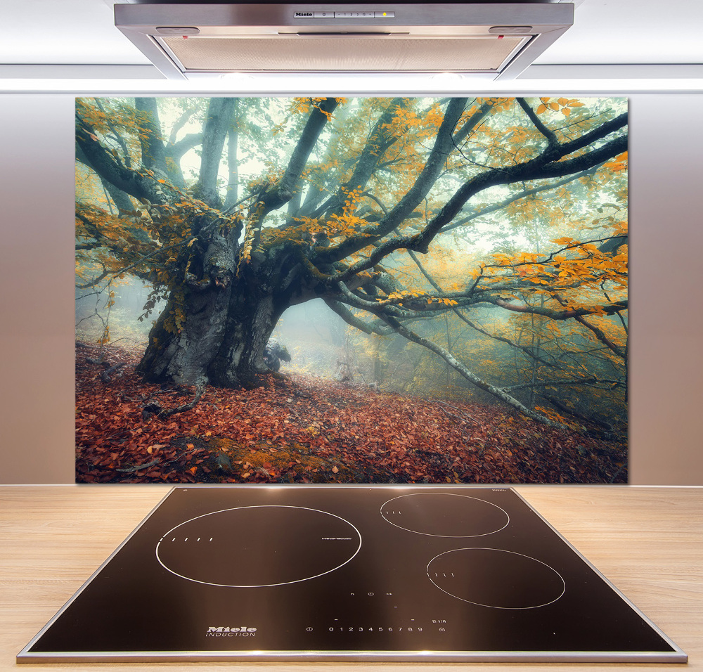 Cooker splashback Old tree