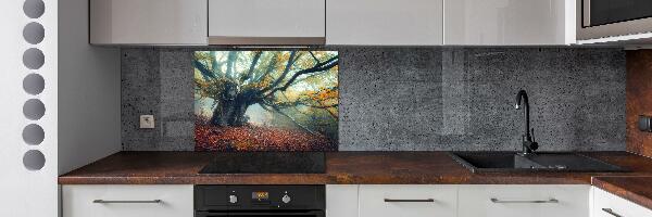 Cooker splashback Old tree