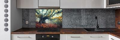 Cooker splashback Old tree