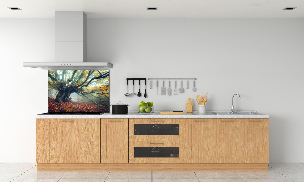 Cooker splashback Old tree