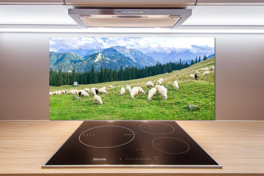 Cooker splashback Sheep in the Tatra Mountains