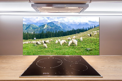 Cooker splashback Sheep in the Tatra Mountains