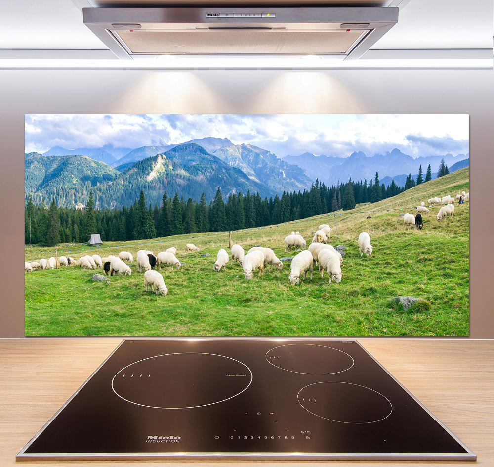 Cooker splashback Sheep in the Tatra Mountains