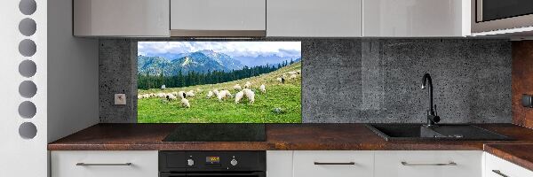 Cooker splashback Sheep in the Tatra Mountains