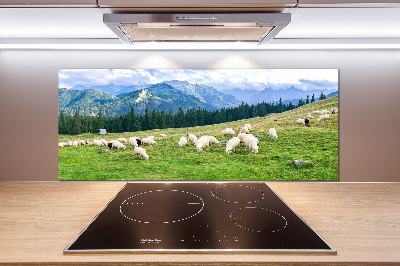 Cooker splashback Sheep in the Tatra Mountains