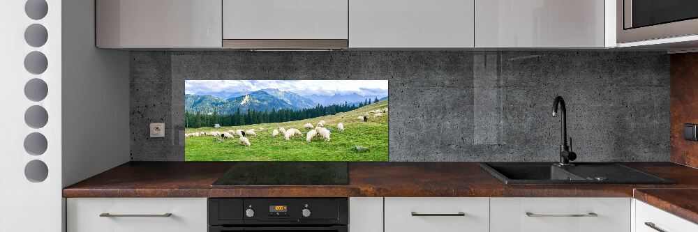 Cooker splashback Sheep in the Tatra Mountains