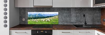 Cooker splashback Sheep in the Tatra Mountains