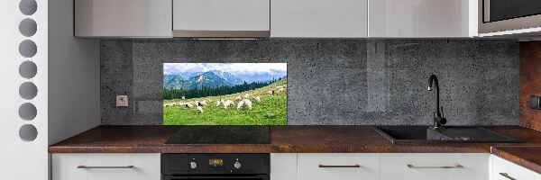 Cooker splashback Sheep in the Tatra Mountains