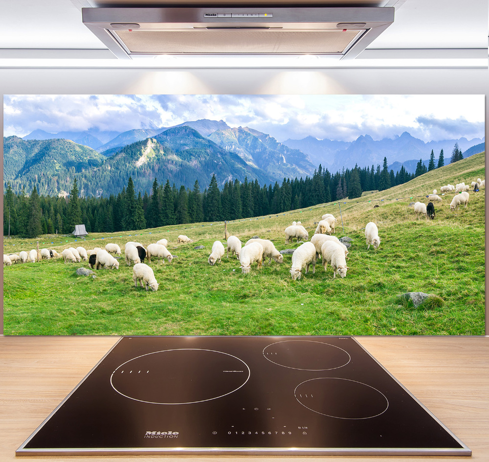 Cooker splashback Sheep in the Tatra Mountains