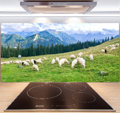 Cooker splashback Sheep in the Tatra Mountains