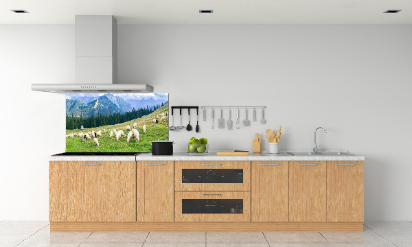 Cooker splashback Sheep in the Tatra Mountains